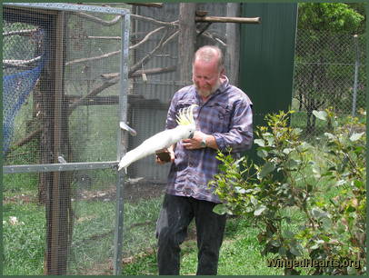 Peter and cockatoo outside the aviary